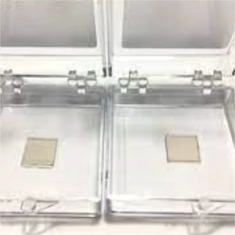 Tungsten Diselenide CVD Film (WSe2)